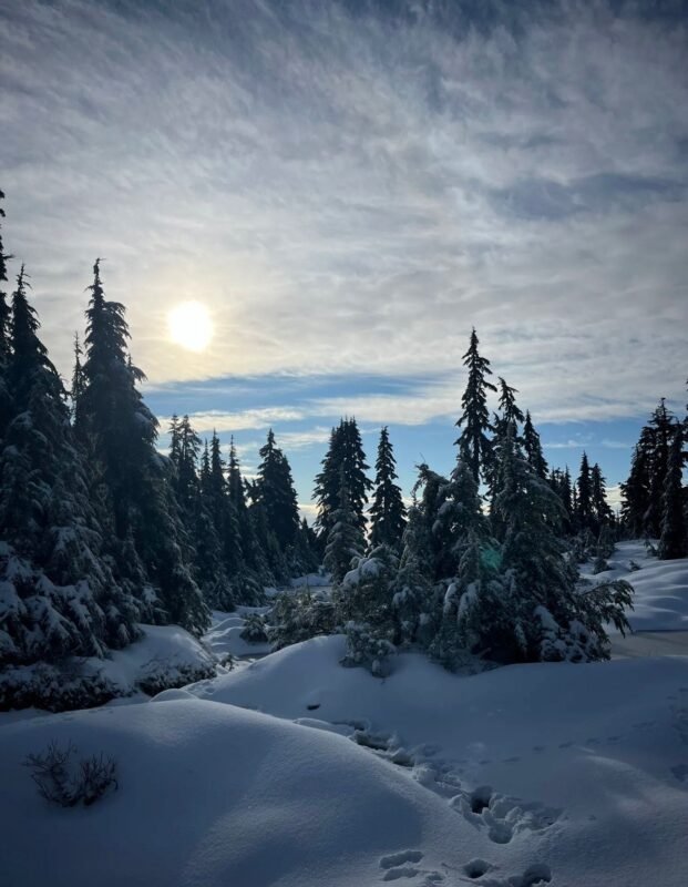 Hollyburn Peak Trail