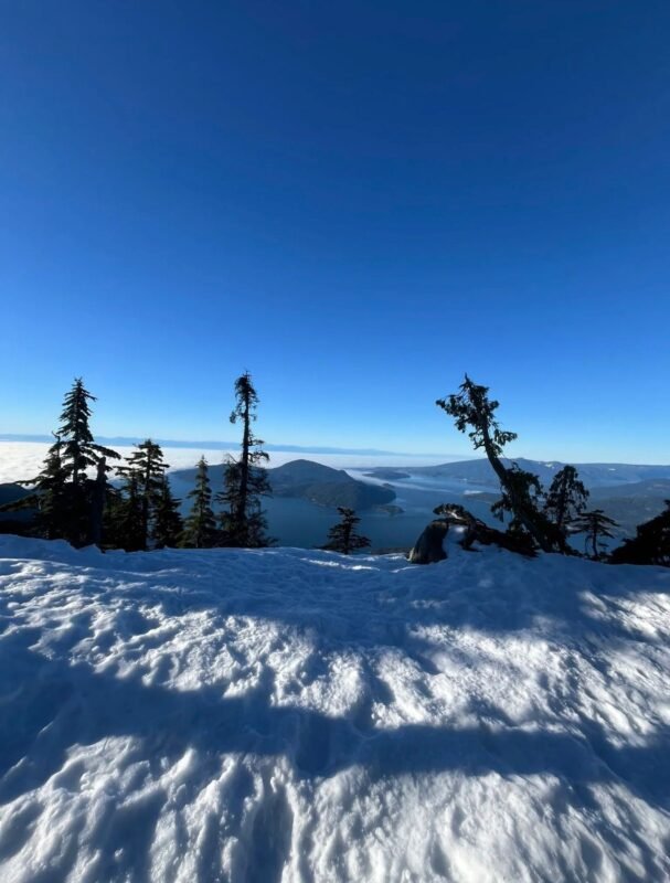 Saint Marks Summit
