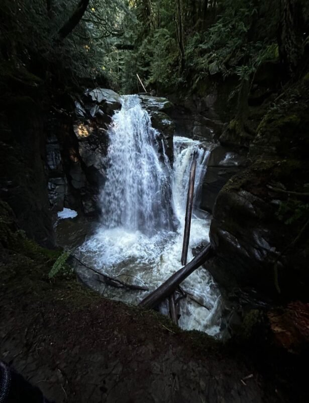 Cypress Falls